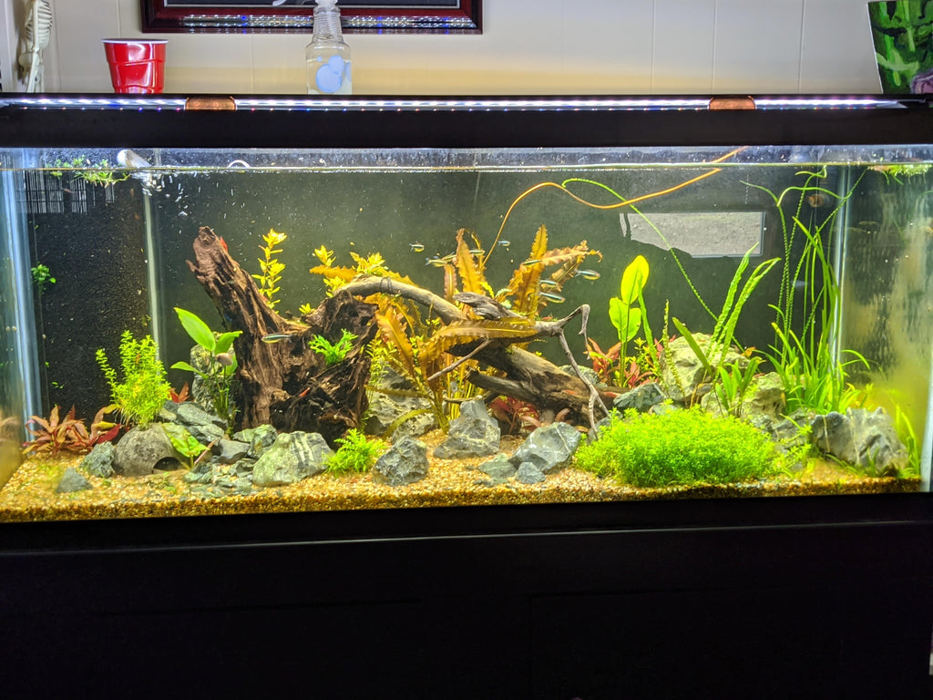 Planted Aquarium Soil Base Layer product image 15
