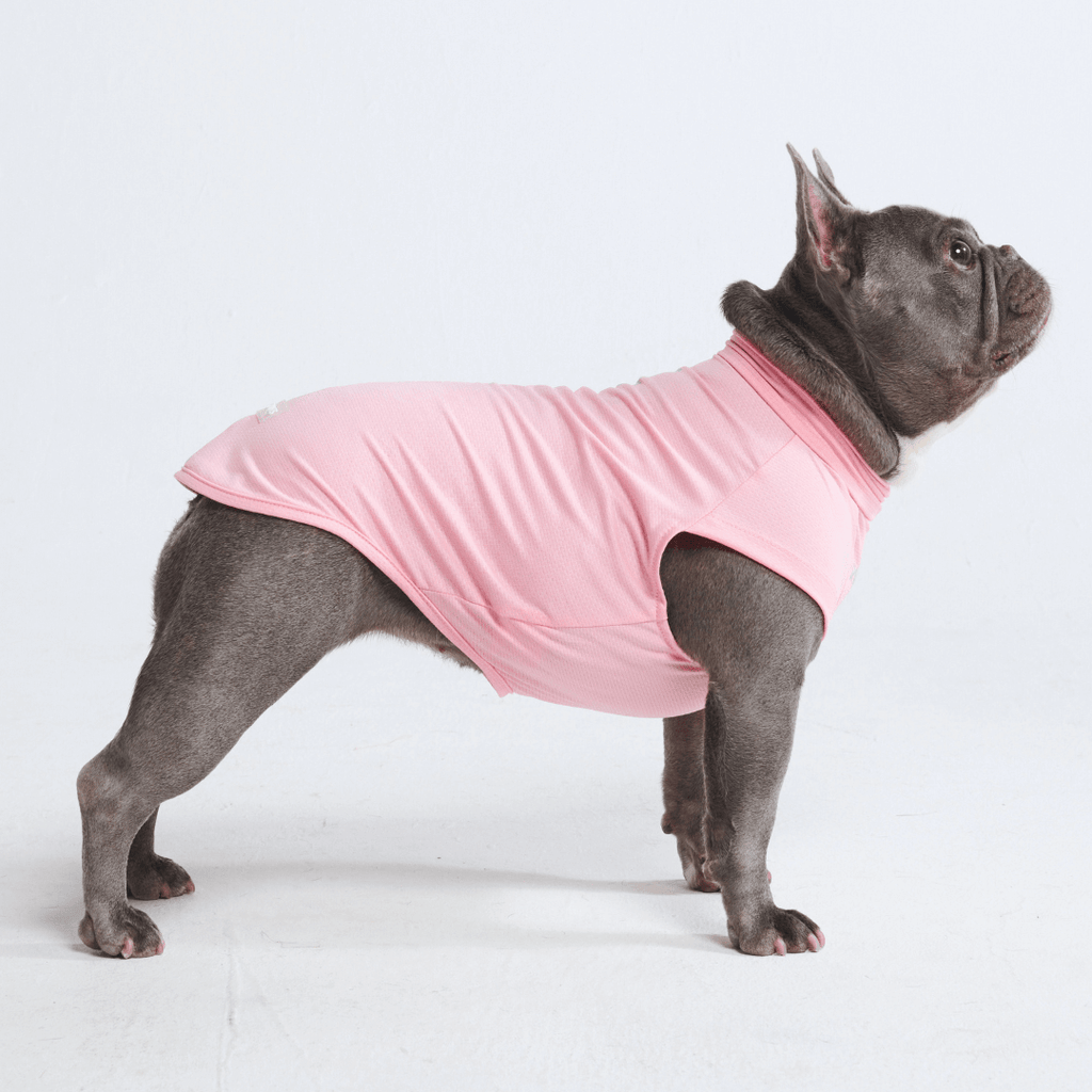 UPF 30 Dog Sun Shirt product image 8