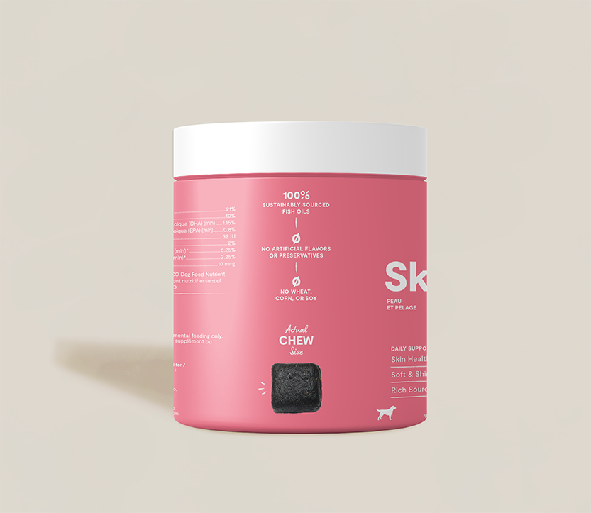 Dog Skin and Coat Supplement Chews product image 3