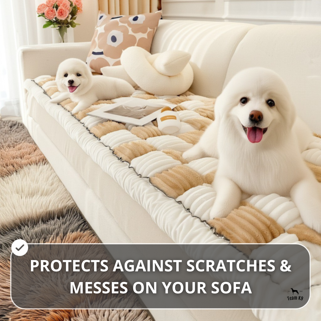 Padded Dog Couch Cover and Bed product image 7