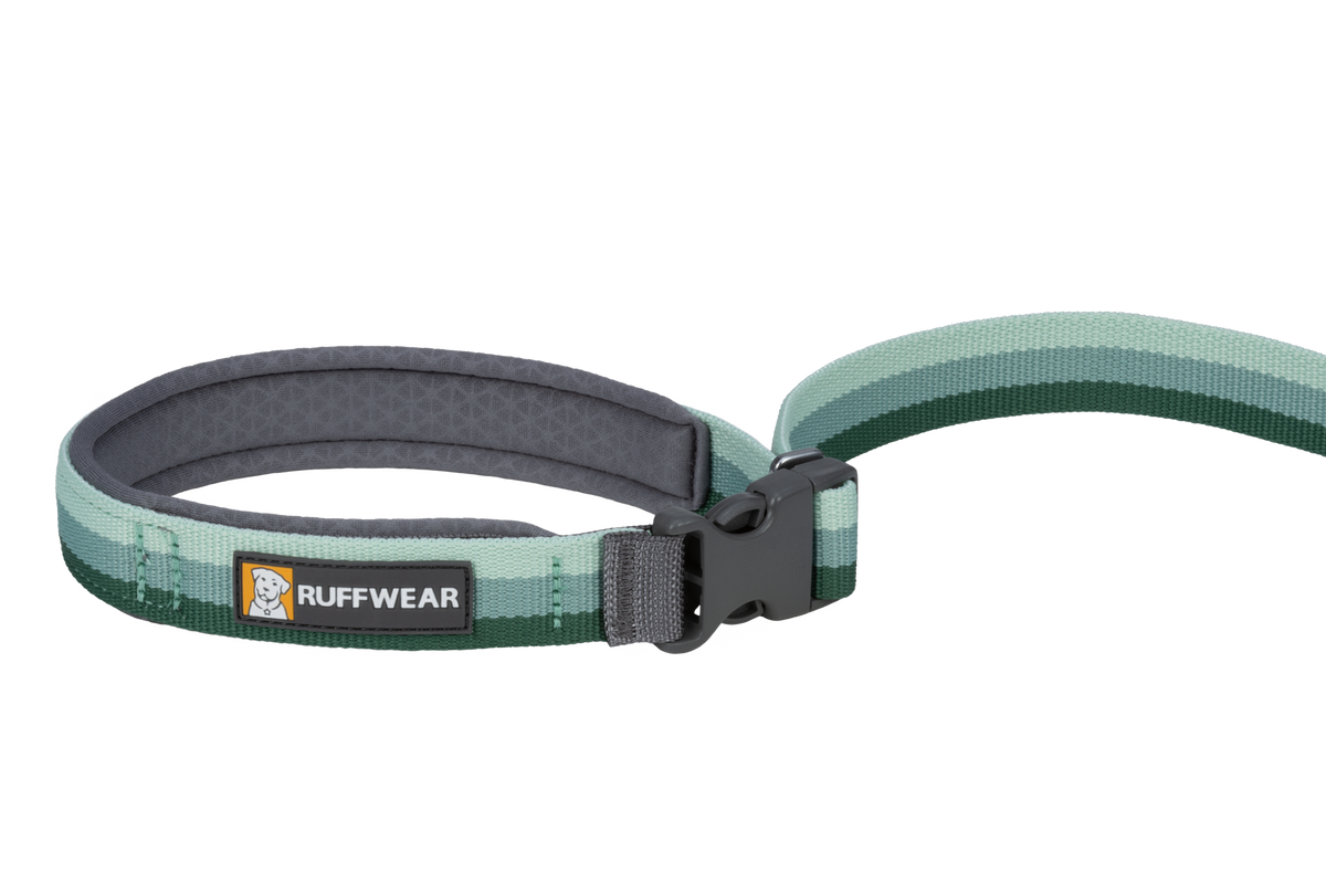 Hands-Free Bungee Dog Leash product image 19