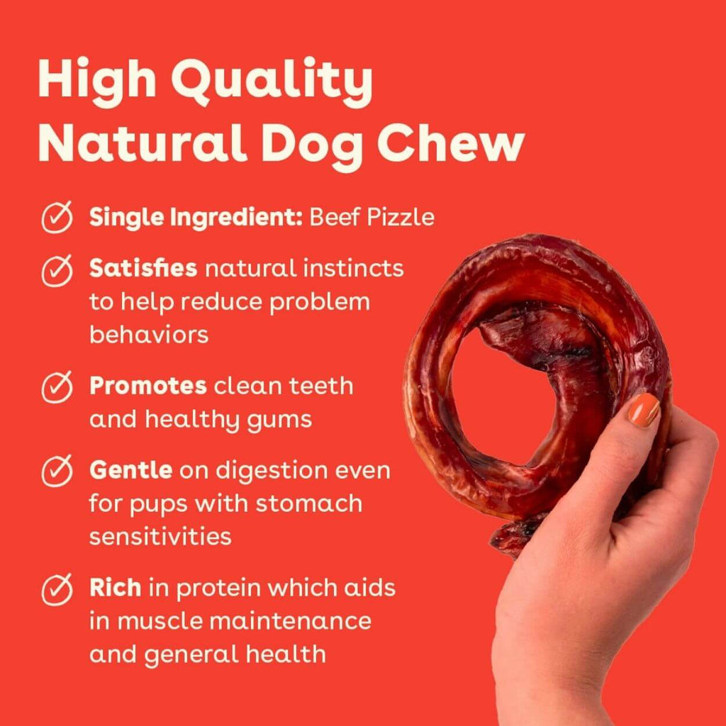 Natural Beef Bully Ring Dog Chews product image 2