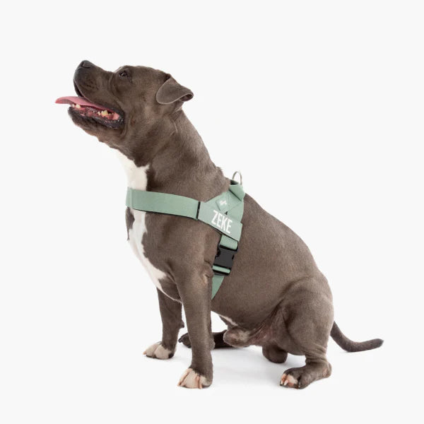 Adjustable Grab-Handle Dog Harness product image 68