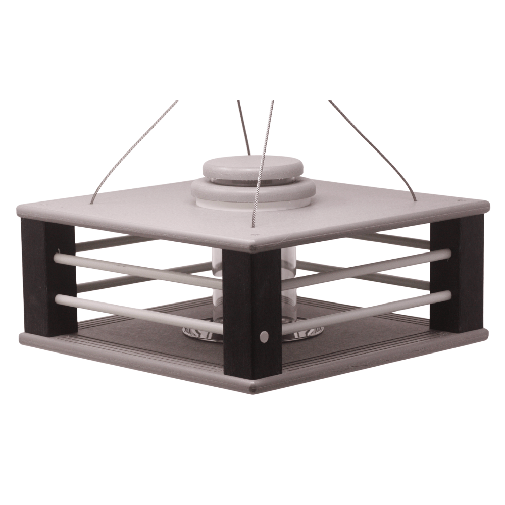 Eastern Bluebird Mealworm Feeder product image 13