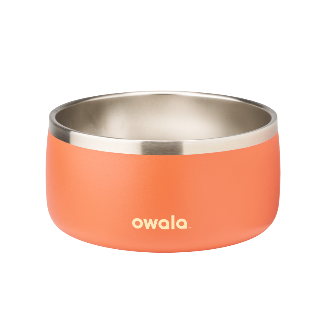 Stainless Steel Pet Bowl product image 26