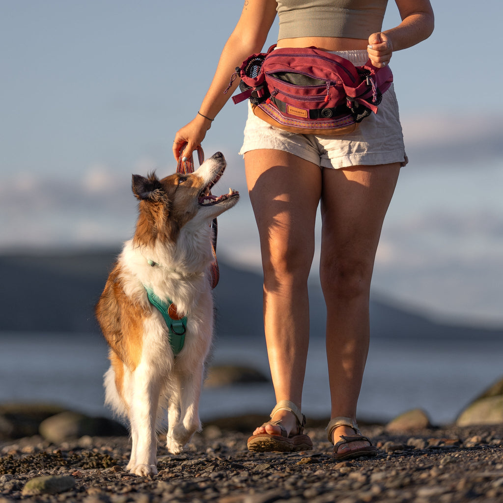 Dog Walking Hip Pack product image 10