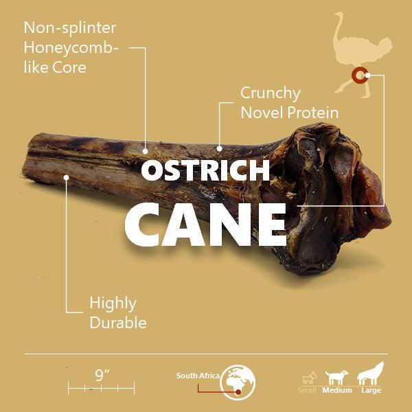 Large Ostrich Cane Dog Chew product image 4