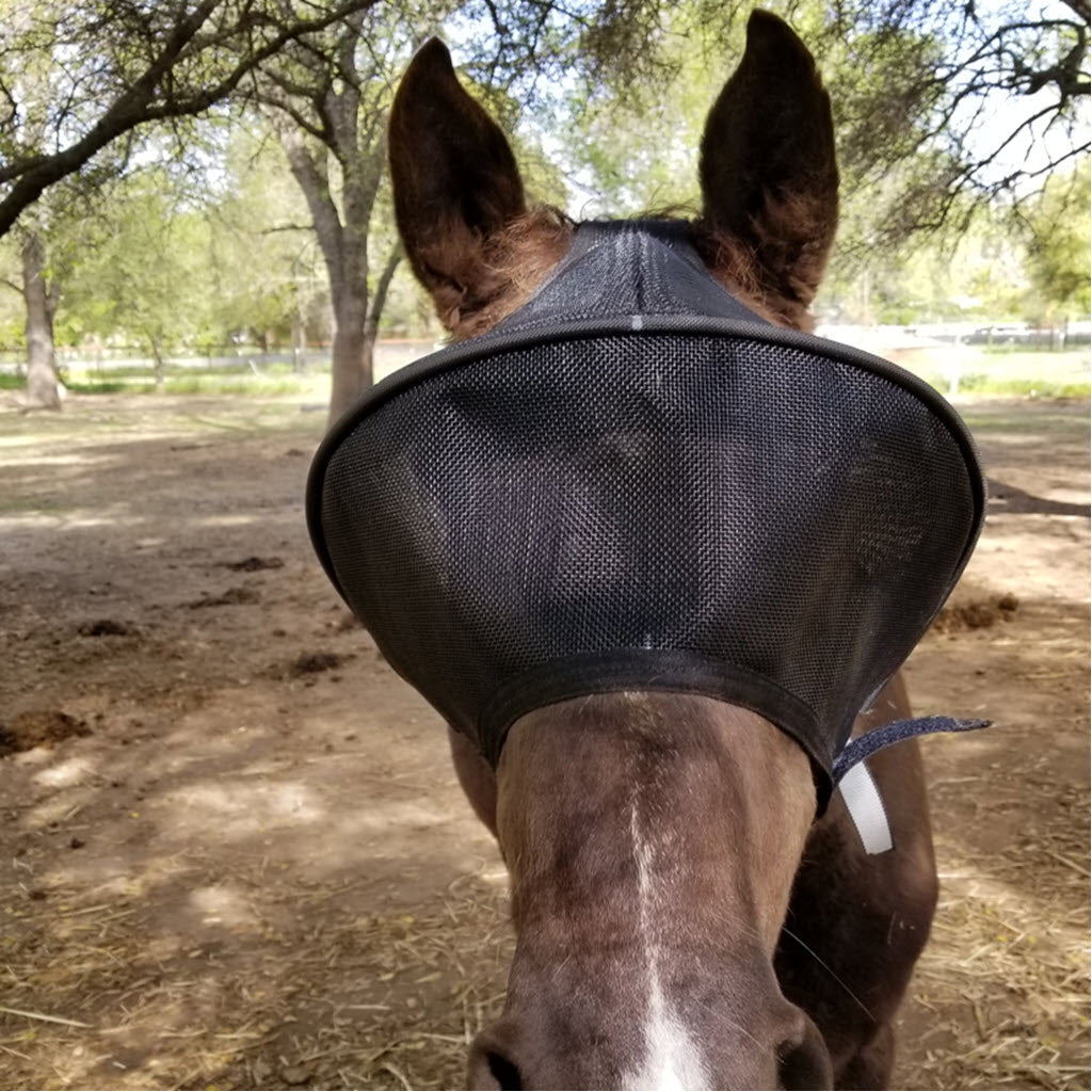 Wraparound Horse Fly Mask product image 5