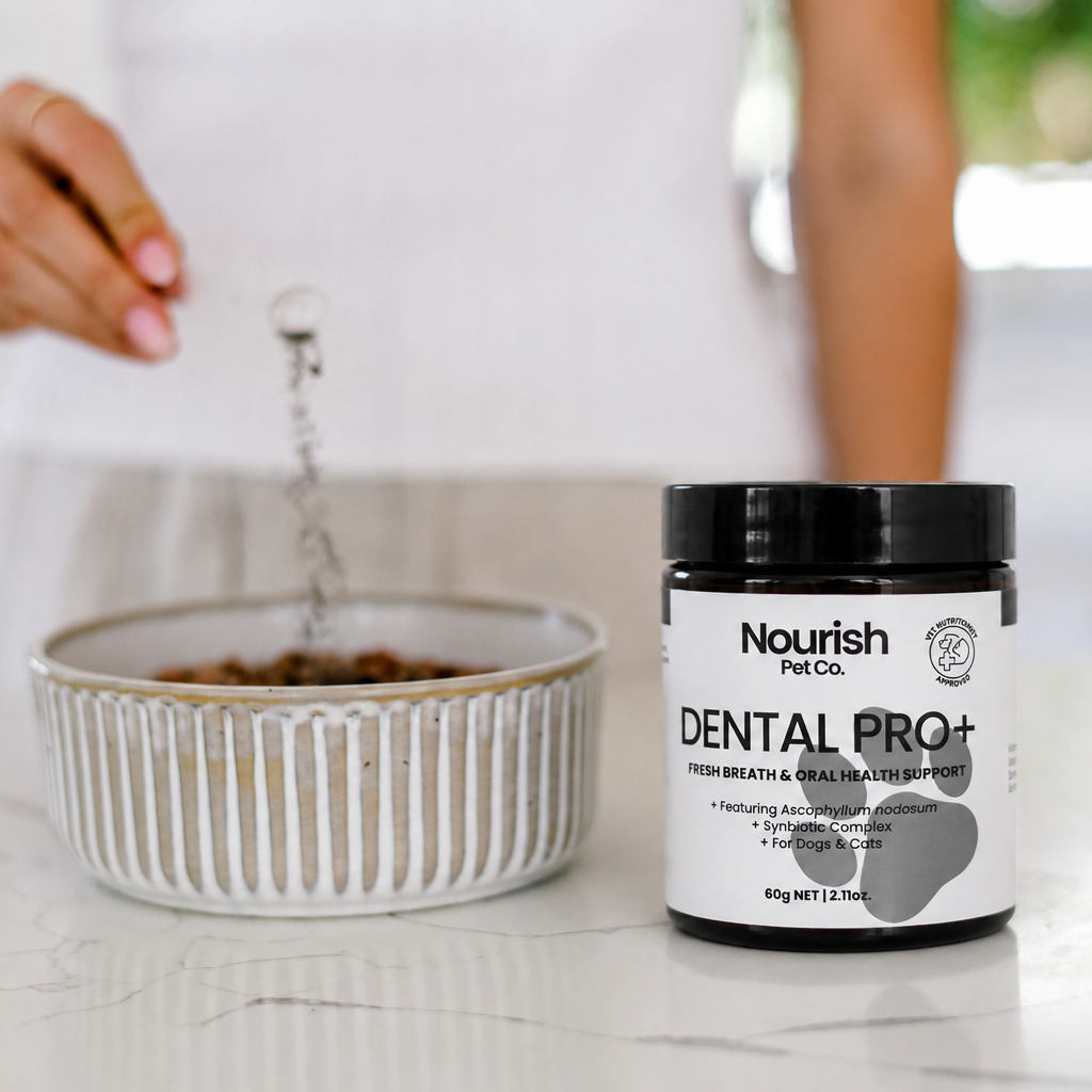 Dental Care Powder product image 4