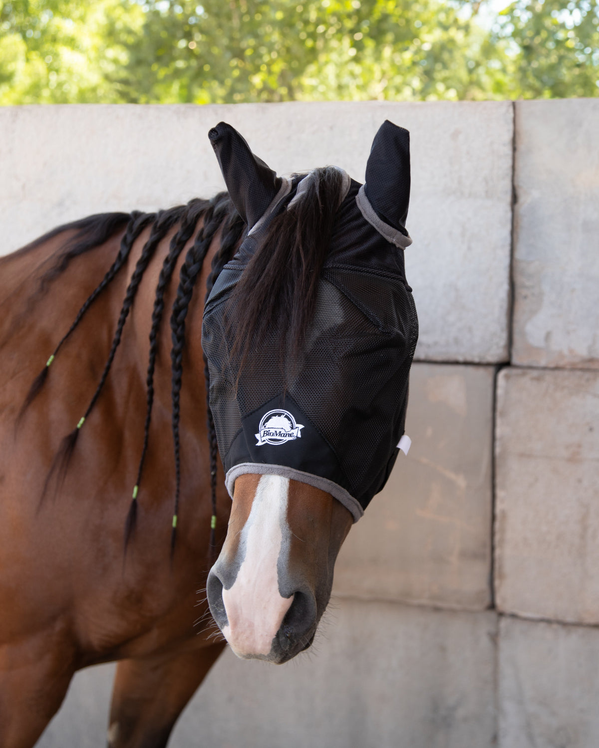 Quarter Horse Fly Mask product image 10
