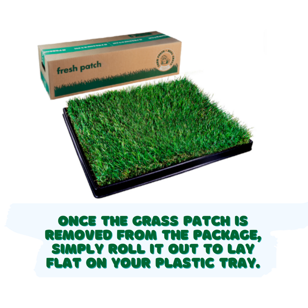 Dog Grass Pee Pad Plastic Tray product image 2