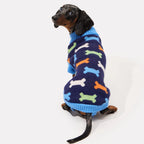 Standing mini dachshund wearing a knit dachshund sweater