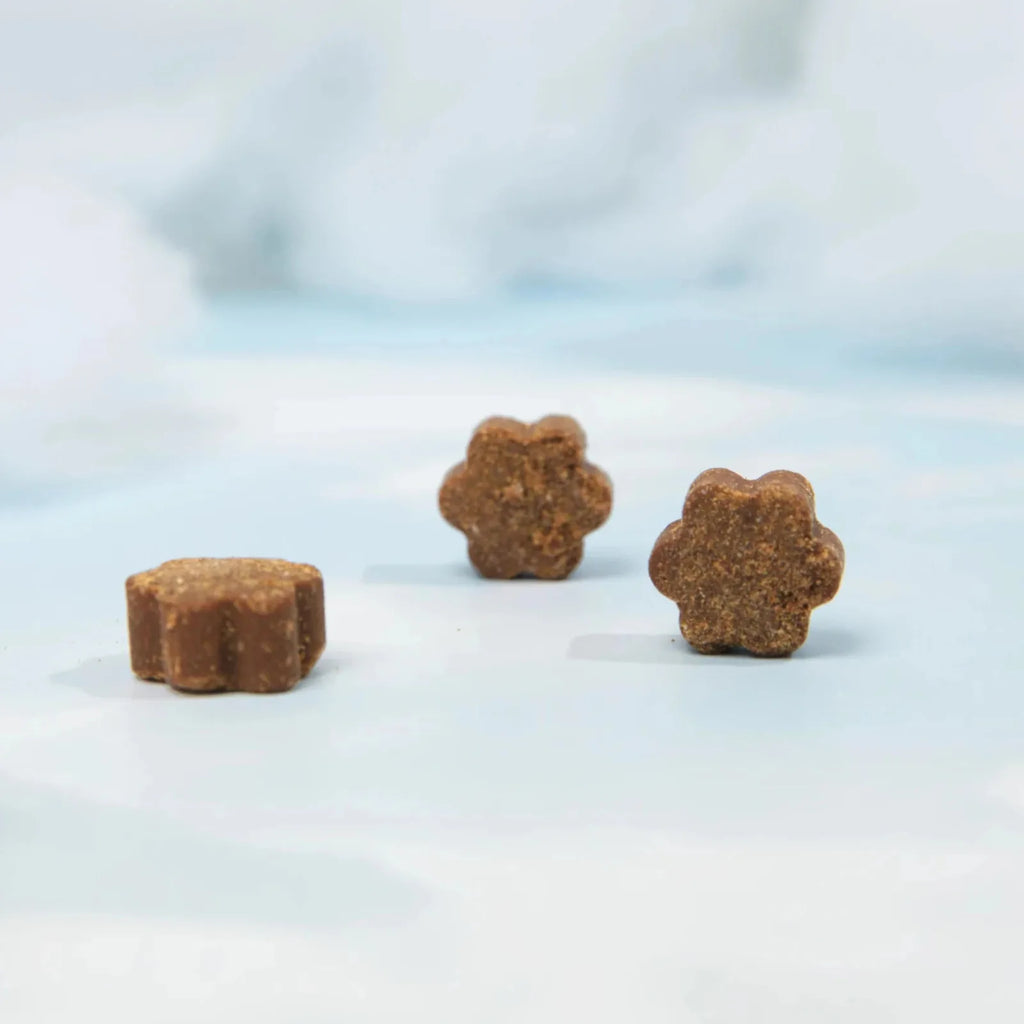 Three Dog is Human multivitamins arranged in a light blue, cloud-like setting.