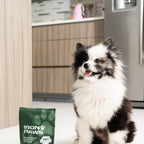 Daily Dog Superfood Powder product image 4