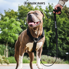 No-Pull Dog Harness Walking Set product image 28