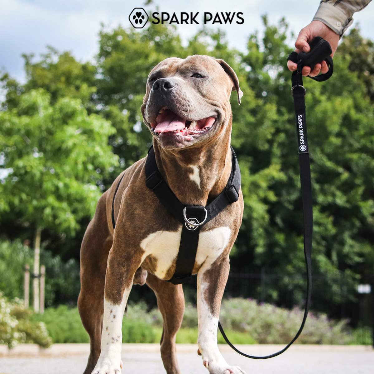 No-Pull Dog Harness Walking Set product image 28