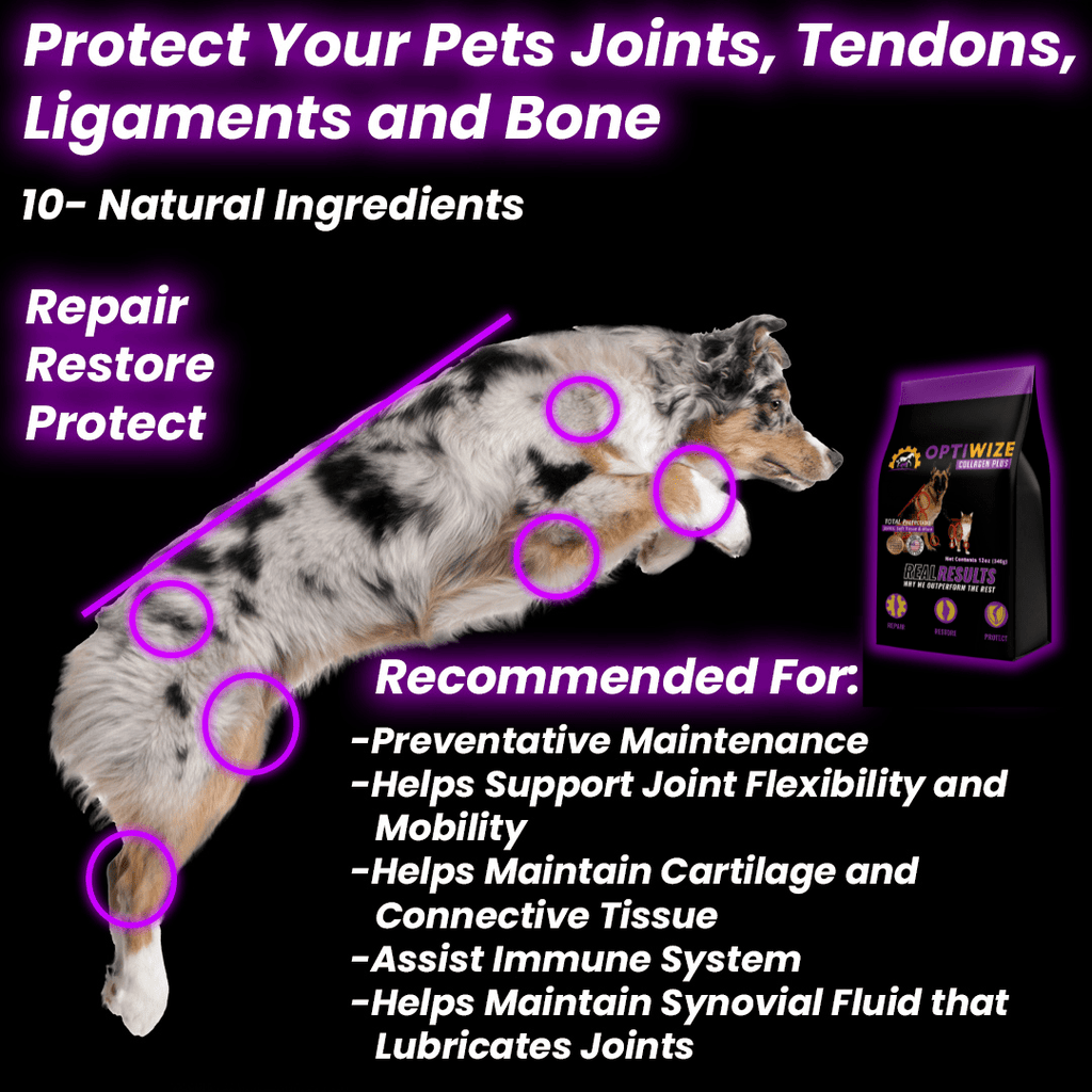 Collagen Joint Support Supplement product image 4