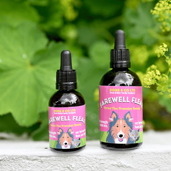 Herbal Flea and Tick Care Drops product image 4