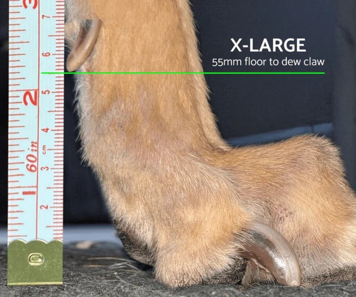 Greyhound and Whippet Dog Boots product image 7