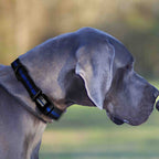 Thin Blue Line Dog Collar product image 6