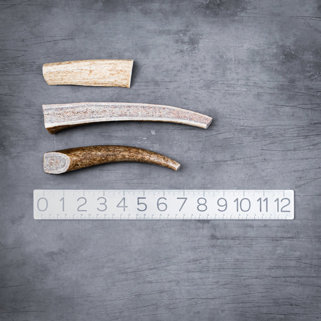 Mixed Antler Dog Chew Pack product image 2