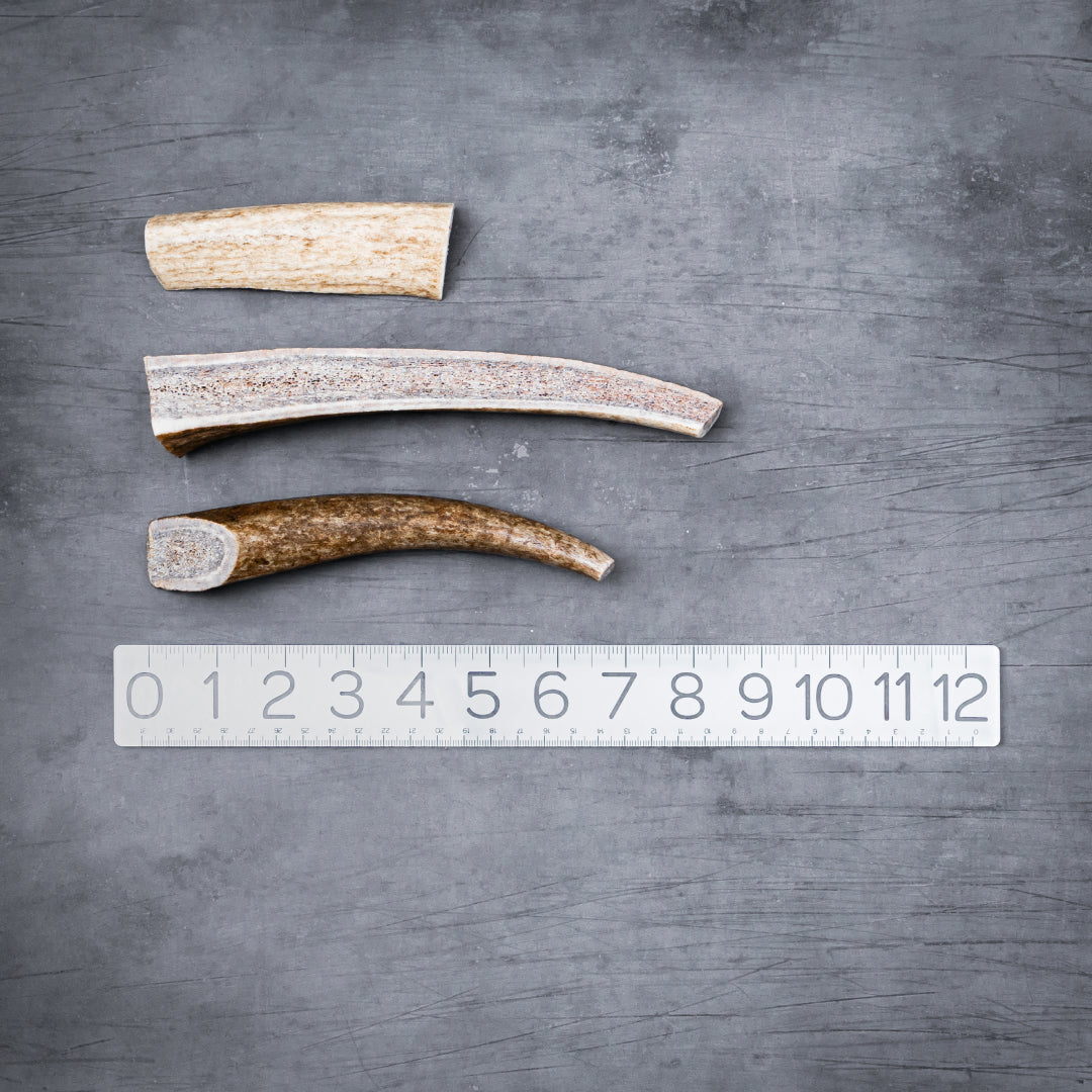 Mixed Antler Dog Chew Pack product image 2