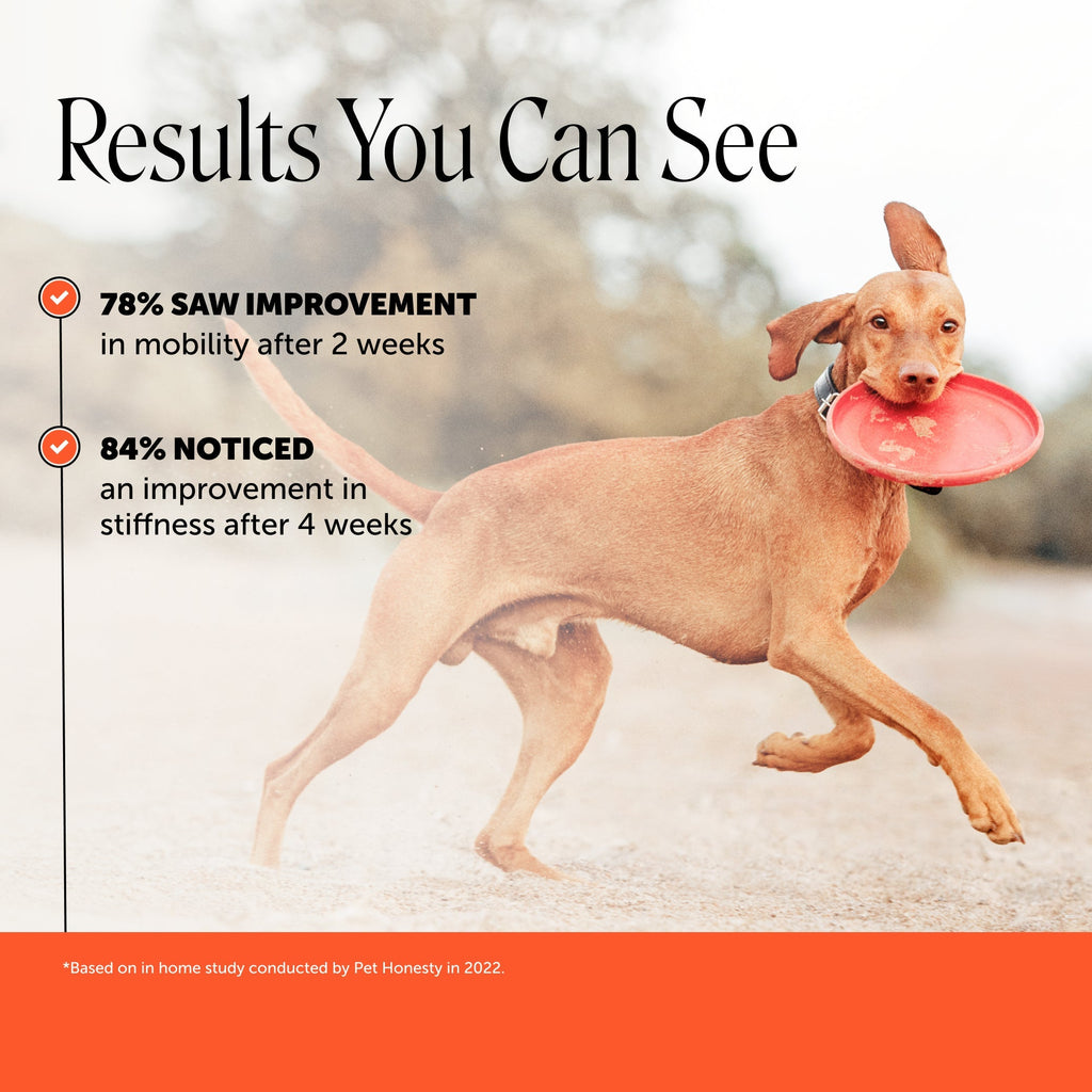 Max Strength Dog Joint Chews product image 2