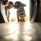 Waterproof Dog Kennel Pad product image 1