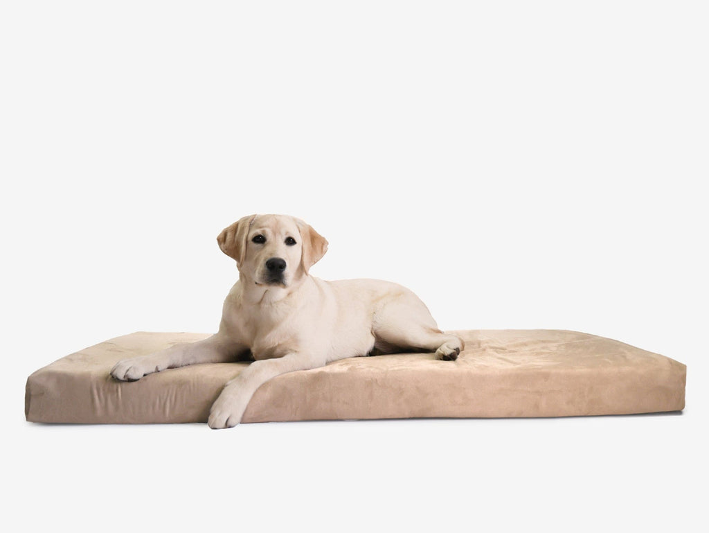 Orthopedic Dog Crate Bed product image 25