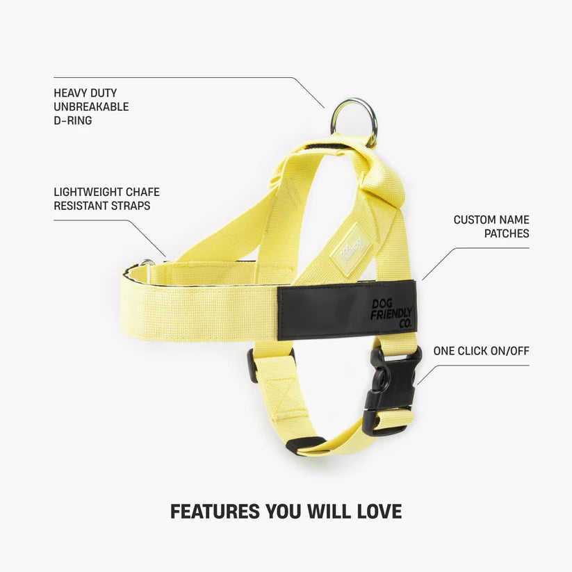 Adjustable Grab-Handle Dog Harness product image 26