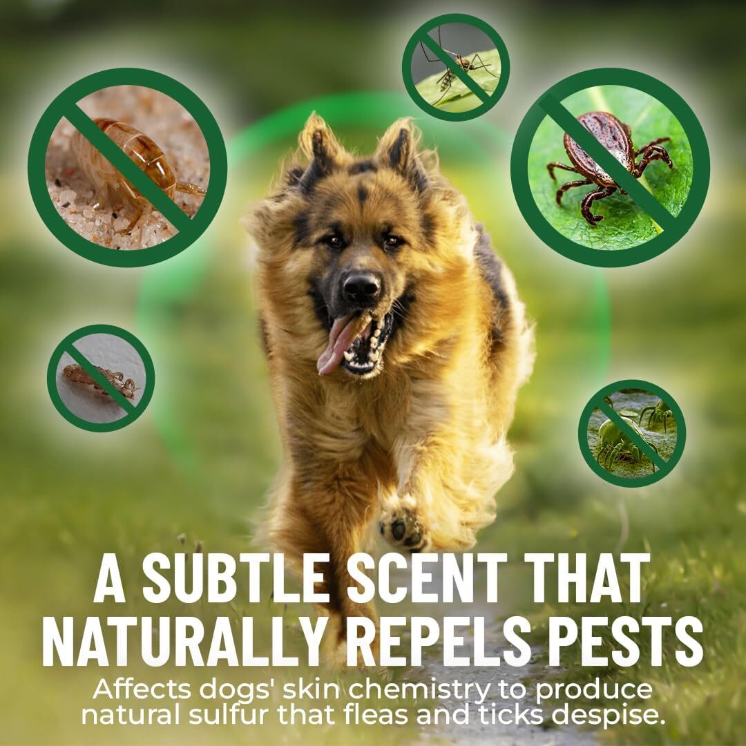 Dog Flea and Tick Support Soft Chews product image 5