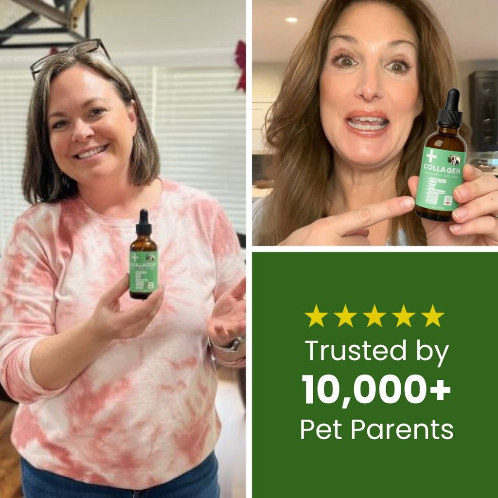 Liquid Collagen Supplement for Dogs product image 3