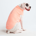 UPF 30 Dog Sun Shirt product image 29