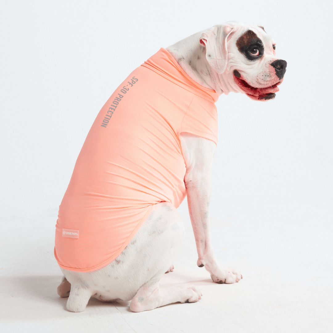 UPF 30 Dog Sun Shirt product image 29