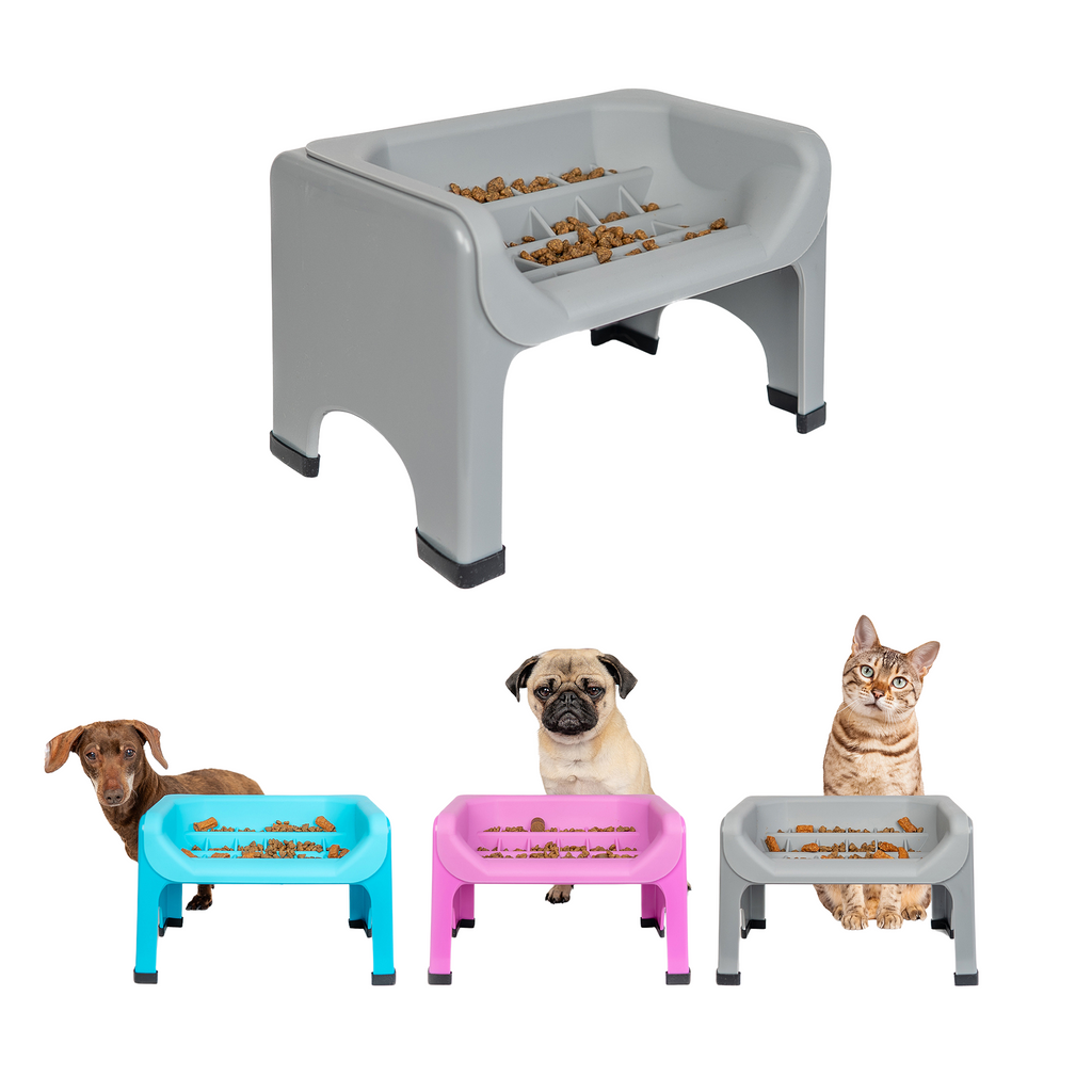 Elevated Pet Slow Feeder Bowl Set product image 2