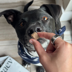 Freeze-Dried Single-Ingredient Dog Treats product image 4