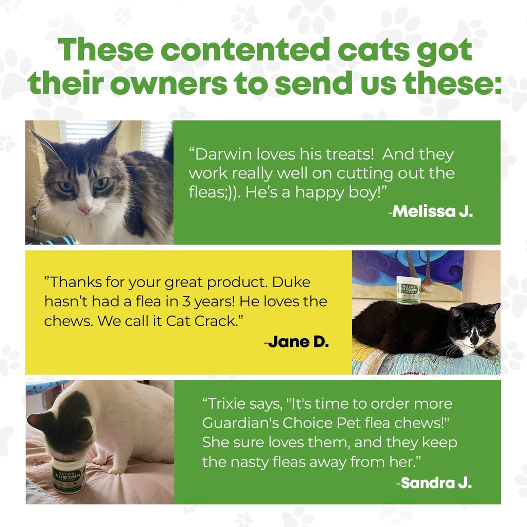 Cat Flea and Tick Support Chews product image 11