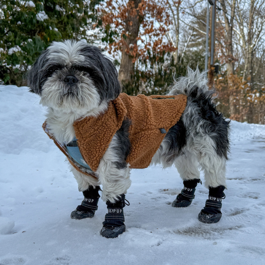Water-Resistant Winter Dog Boots product image 7
