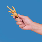free-range, whole chicken feet - 10ct - King Lou Pets