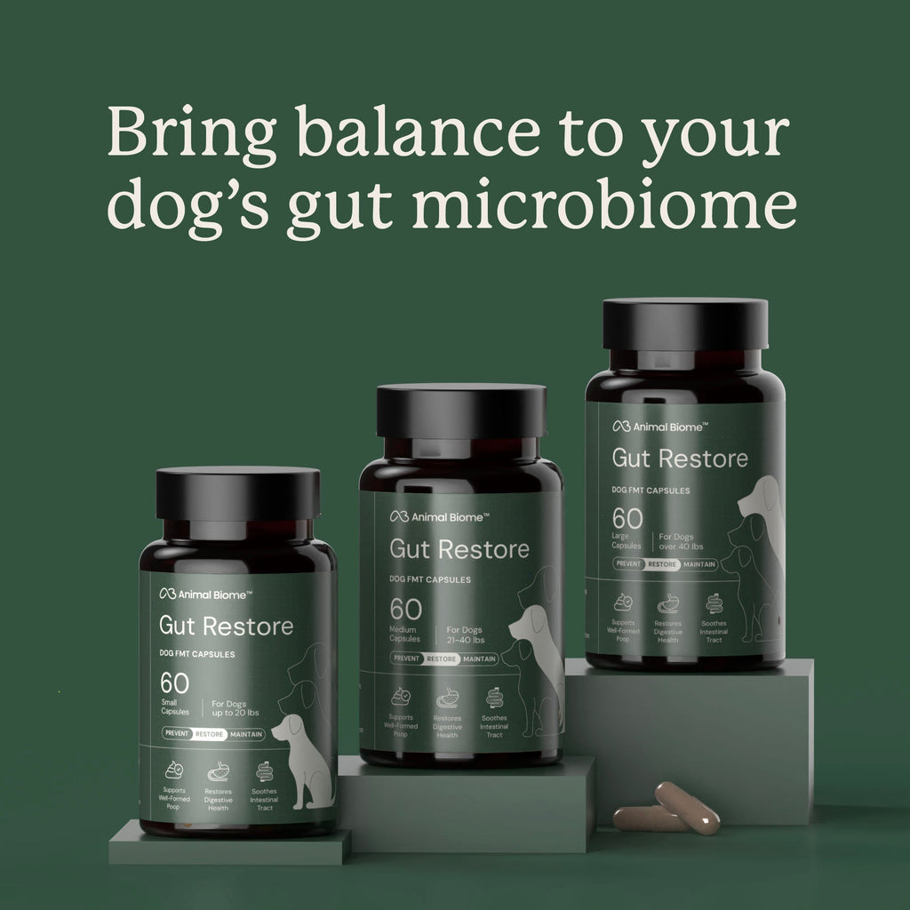 Dog Gut Microbiome Support Capsules product image 7