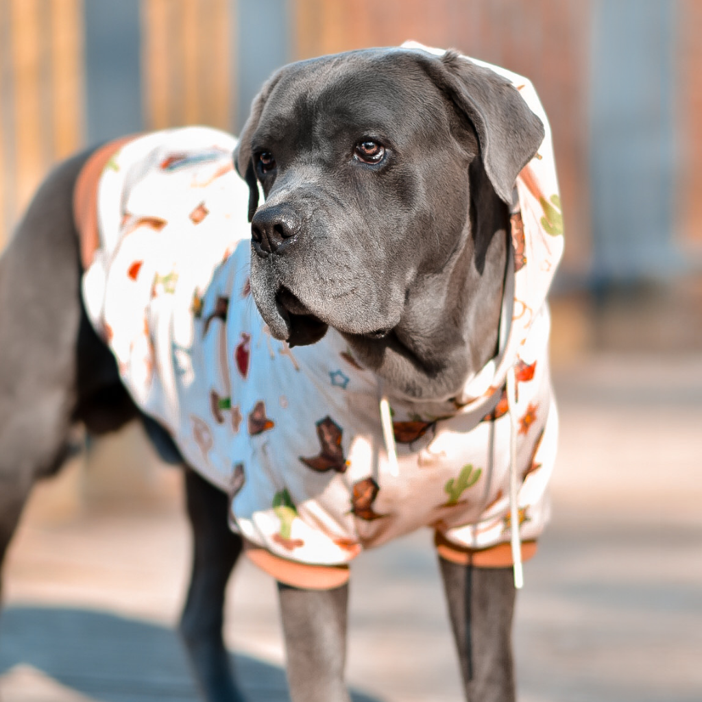 Fleece Dog Hoodie product image 12