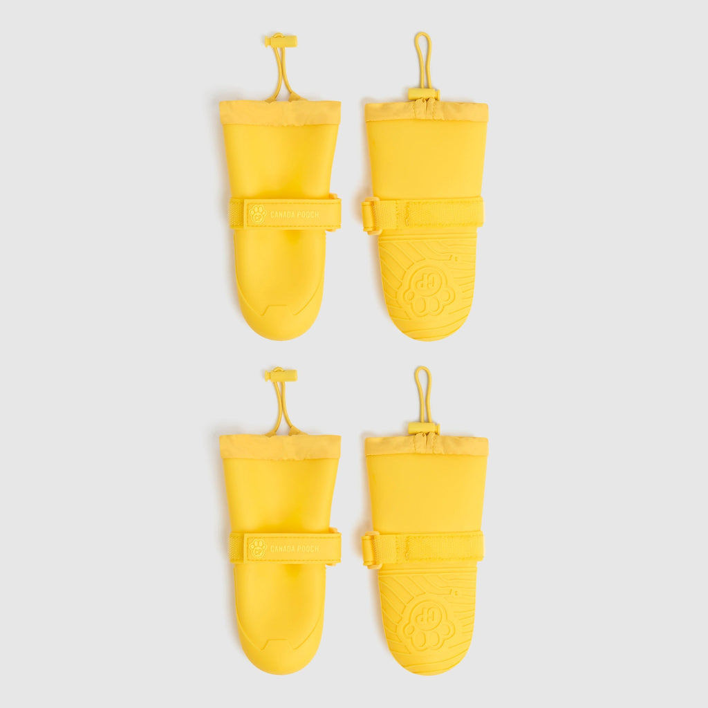 Waterproof Silicone Dog Rain Boots product image 16