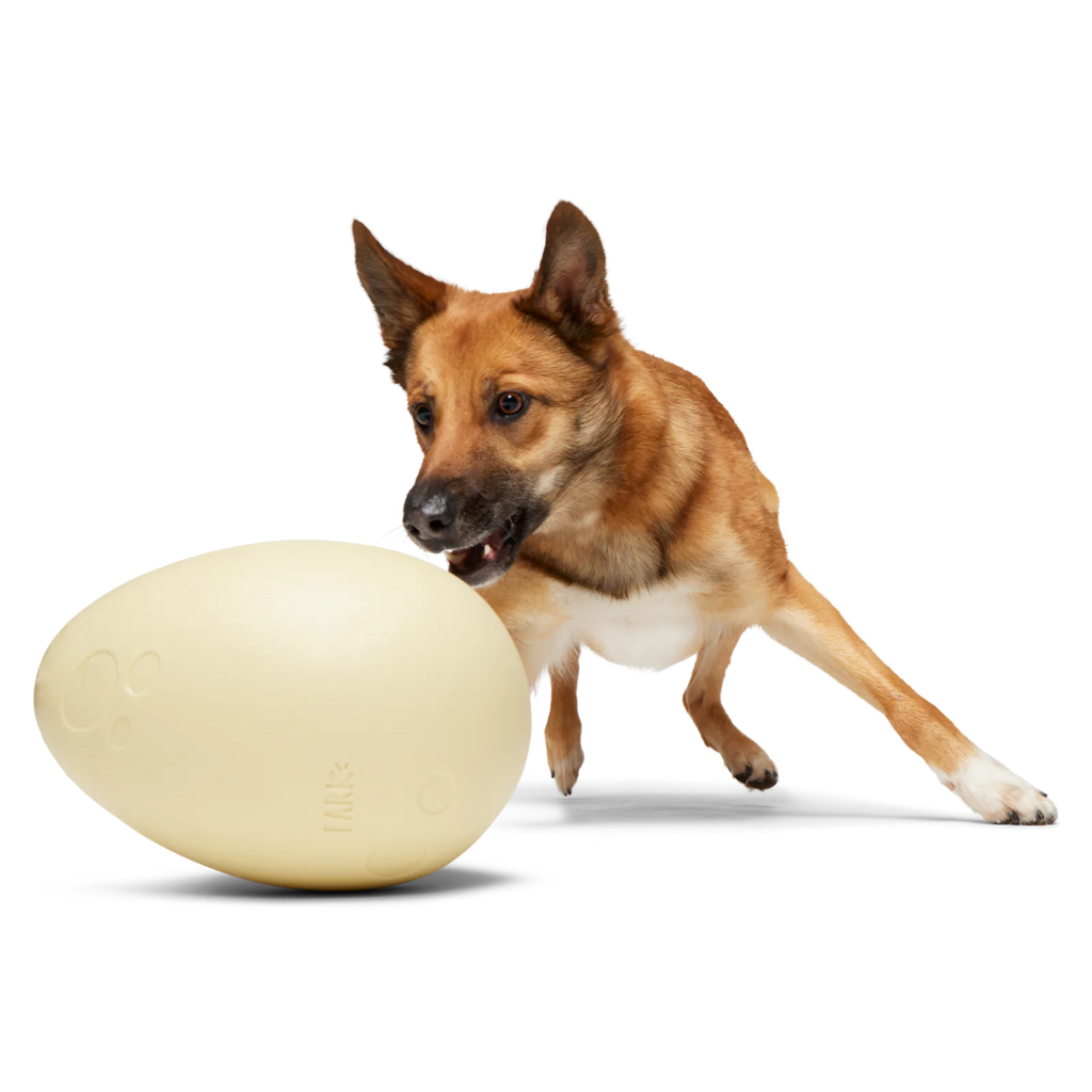 Dinosaur Egg Super Chewer Durable Extra-Large + Fetch Dog Toy product image 1