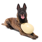 Dinosaur Egg Super Chewer Durable Extra-Large + Fetch Dog Toy product image 3