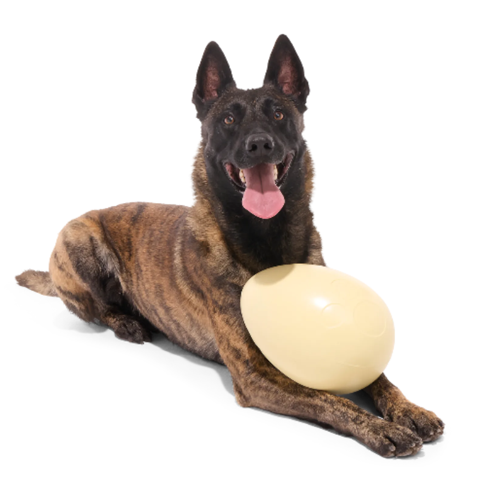 Dinosaur Egg Super Chewer Durable Extra-Large + Fetch Dog Toy product image 3
