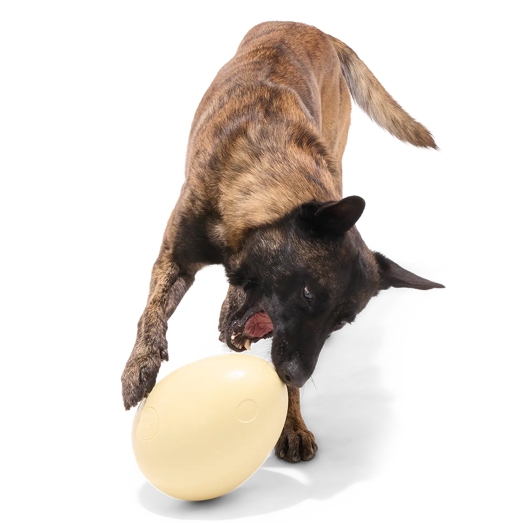 Dinosaur Egg Super Chewer Durable Extra-Large + Fetch Dog Toy product image 4