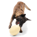 Dinosaur Egg Super Chewer Durable Extra-Large + Fetch Dog Toy product image 4