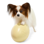 Dinosaur Egg Super Chewer Durable Extra-Large + Fetch Dog Toy product image 5
