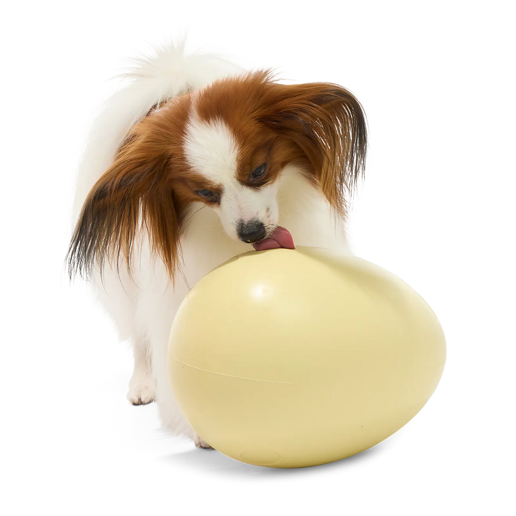 Dinosaur Egg Super Chewer Durable Extra-Large + Fetch Dog Toy product image 6