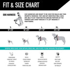 Dog Harness for Comfortable Everyday Walks, Adjustable Abrasion-Resistant Polyester Webbing for Small to XL Dogs